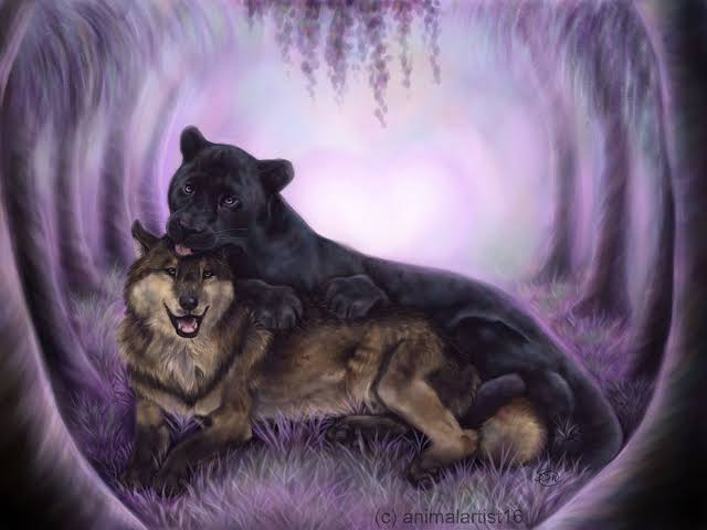 images?q=tbn:ANd9GcQjJe7v8wyuz9t52qw6UOu