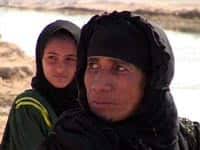 CBC News Indepth: Iraq