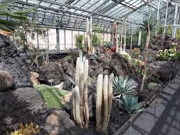 The Largest And Most Beautiful Botanical Garden In Switzerland Must See In Geneva Jardin Botanique Villa Le Chene Ge Avec Images Jardin Botanique Botanique Jardins