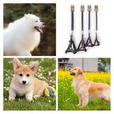How much does it cost to ship a puppy by air? Fast Ship 4 Colors Leashes Wear Resistant Denim Leash Adjustable Puppy Collar Chest Vest Harnesses Dog Cat Collars Pet Tools Leashes Aliexpress