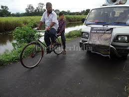 Siberian tiger also preys on the black and brown bear in siberia. The State Animal Of West Bengal Is Endangered And Most Of Us Don T Even Know Which Animal It Is The Better India