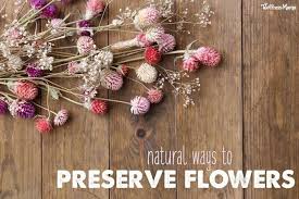 Leave the box in a warm, dry place for as little as 7 to 10 days to as long as 2 weeks. How To Dry Flowers For Decor And More Wellness Mama