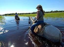 D wild latin & house boat ride. The Pantanal Exploring The Heart Of Wild Brazil Imagine Travel Luxury Tailor Made Holidays To Africa The Indian Ocean And Latin America