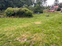 Image result for site:byggahus.se dika