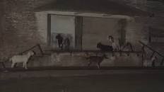 Image result for descalzi casa embrujada