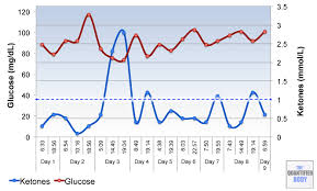 5 Day Water Fast Results Blood Ketones Glucose Weight