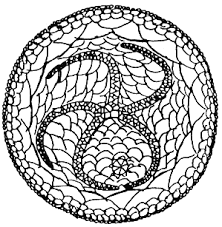 Image result for Cincinnobotrys