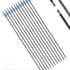 Maybe you would like to learn more about one of these? Archery Pandarus Sp400 Sp500 Sp600 Pure Carbon Arrow Anak Panah Sports Other On Carousell