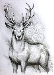 Original Deer Art Stag Pencil Drawing Graphite Home Decor Illustration Animal Art Gift Wall Decor Deer Art Deer Drawing Pencil Drawings Of Animals