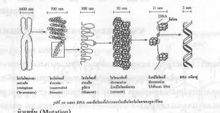 Maybe you would like to learn more about one of these? Http Www Etvthai Tv Download Schedule Document 03102554 1139201382 Pdf