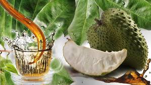 Durian belanda atau soursop, buah dari pohon graviola adalah pembunuh semulajadi sel kanser yang ajaib dengan 10 ribu kali lebih kuat dari pada terapi kemo. Air Rebusan Daun Sirsak Bisa Obati Kanker Payudara