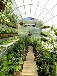 Urban Freedom Greenhouse At Oranjezicht City Farm Cape Town City Farm Greenhouse Farming Tropical Greenhouses