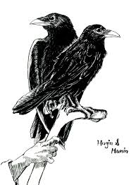 I fear for hugin, that he come not back, yet. Artstation Hugin Munin Andre Doil