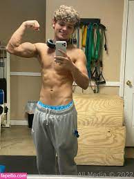 Taylorsvip