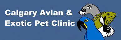 While the pet population we serve consists mainly of dogs and cats, we are happy to provide rabbit vet care and pocket pet vet care, as well. Calgary Avian Exotic Pet Clinic Home
