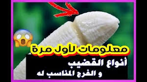 أنواع الفروج و لذتها في الجماع بالصور موسيقى مجانية mp3