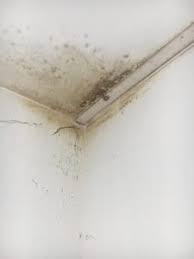 Schimmel an der decke oder aber auch an den wänden ist schnell entstanden. Schimmel In Der Wand Entfernen Profimaler Hamburg De