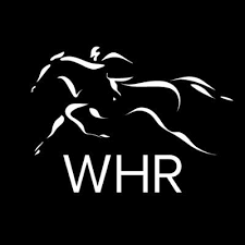 The motor racing games in this great collection will keep you glued to your seat. World Horse Racing Whr Twitter
