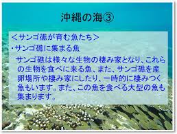 Image result for 沖縄の海