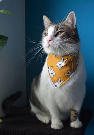 Tiger Cat Bandana Cat Print Pet Bandana Summer Cat Scarf Cute Cat Bib Bandana With Snaps Small Dog Bandana Cat Neckerchief In 2020 Pet Bandana Cat Bandana Dog Bandana