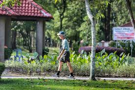 Bukit kiara is an affluent suburb of kuala lumpur, containing some of the city's nicer homes, a golf course, and an equestrian center. Taman Rimba Kiara Federal Court Fixes June 14 To Hear Leave To Appeal Malaysia Malay Mail