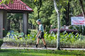 Bagi penduduk ttdi (atau pun orang luar dari ttdi), taman rimba kiara ni tempat terdekat yang diorang ada untuk release tension, bersenam, berbasikal, dan lepak dengan keluarga. Taman Rimba Kiara Federal Court Fixes June 14 To Hear Leave To Appeal Malaysia Malay Mail