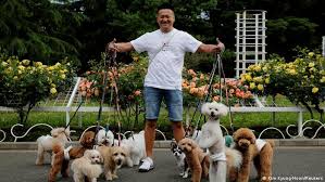 Примеры заданий для экзамена pet sample papers (preliminary english test) или pet for schools sample papers можно найти ниже current papers (version 2020) Japan Are Pets Replacing Children During The Pandemic Asia An In Depth Look At News From Across The Continent Dw 26 05 2021