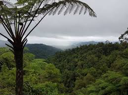 Seperti dalam gambar pegunungan yang indah diatas, kamu bisa. Hentian Rnr Titiwangsa Percutian Bajet