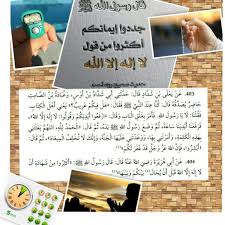 لا إله إلا الله Lsu Polaroid Film Film