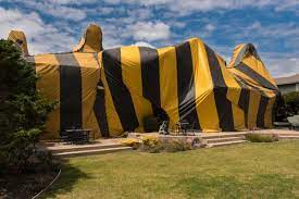 We serve azle, tx and surrounding areas of north texas. Home United Termite Inspections Treatments And Repairs