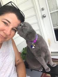 is this kitten anyone's in richfield, mn?