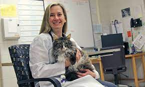Signs and symptoms of cancer in cats. New Compound Targets Mouth Cancer In Cats Veterinary Medicine At Illinois