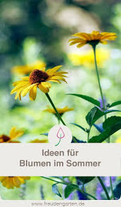 Die 11 Schonsten Sommerblumen Fur Deinen Garten Sommerblumen Garten Blumen Fur Garten