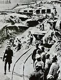 Девочка — узница хорватского концлагеря ясеновац. Kz Mauthausen Wikipedia