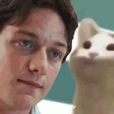 The one and only pop cat meme crypto!!! I 05wfn8x8s1fm
