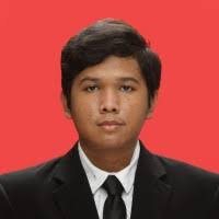 50+ "M Mujtaba" profiles