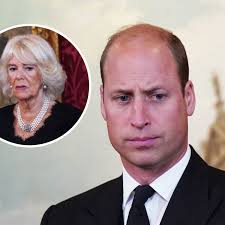 Prince William Moment With Queen Camilla Caught On Camera