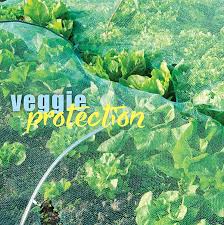 Seedlings can be protected with mulch to keep anything from getting to the stem and roots. How To Protect Vegetables From Chewing Insects About The Garden Magazine