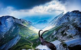 Nature wallpapers 4k hd for desktop, iphone, pc, laptop, computer, android phone, smartphone, imac, macbook, tablet, mobile device. Nature Free Download Hd Wallpapers Free Download Wallpaperbetter