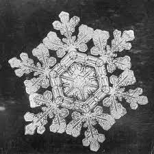 Earliest Snowflake Photos From 1885 : The Picture Show : NPR