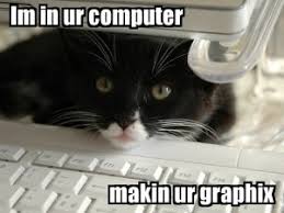 Image result for lolcats