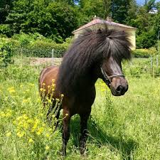 images?q=tbn:ANd9GcQjKuTW6OwjOF0bSCDnoYhoIlTwh0Kz-_931GR6Gy3zbJ7-pl_N