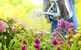 General advice and 17 examples. Watering Garden How Often To Water Garden Home And Gardens