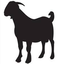 Black And White Goat Images Clip Art Boer Goat Outline Clipart Panda Free Clipart Images Cricut Animals Boer Goats Giraffe Drawing