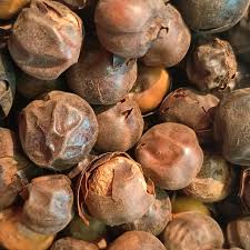 Image result for Afrostyrax