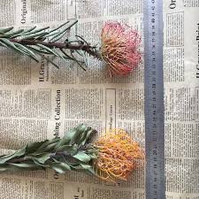Hours may change under current circumstances 2pcs 4 6cm Head Dried Natural Pincushion Flower Dry Flowers Fireworks Chrysanthemum For Home Decor Wedding Decorations Artificial Dried Flowers Aliexpress