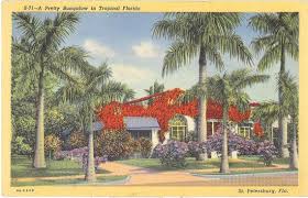 Vintage Florida Flamingo Postcard Pictures Vintage Florida Postcard St Petersburg Pretty Bungalow Tropical Vintage Florida Old Florida Florida