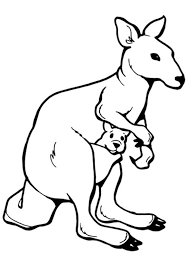 Baby kangaroo printable | kangaroo coloring picture. Coloring Pages Kangaroo With Baby Kangaroo Coloring Pages