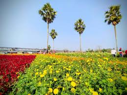 Flowers in Khirai, Purba Medinipur