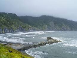 Check spelling or type a new query. 3 Acres In Shelter Cove Ca Land For Sale By Owner In Shelter Cove Humboldt County California 150314 Landflip